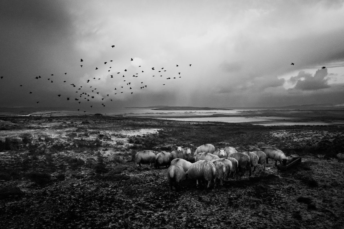 ᴘʜɪʟ ᴋɴᴇᴇɴ 🇮🇲 tweet media