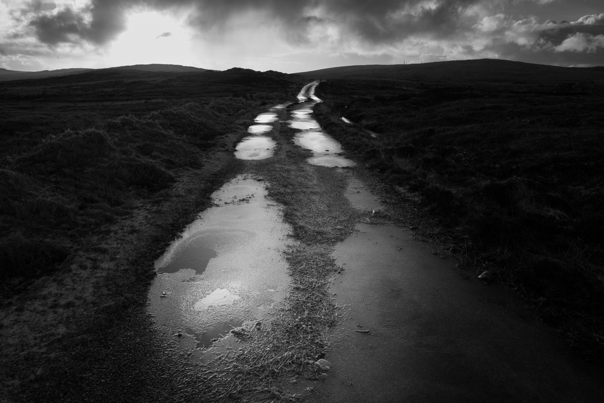 ᴘʜɪʟ ᴋɴᴇᴇɴ 🇮🇲 tweet media