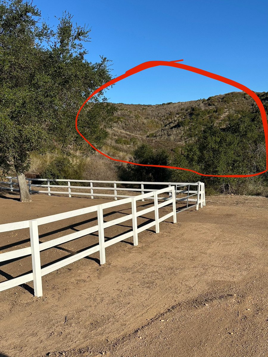 Caitlyn Jenner tweet media