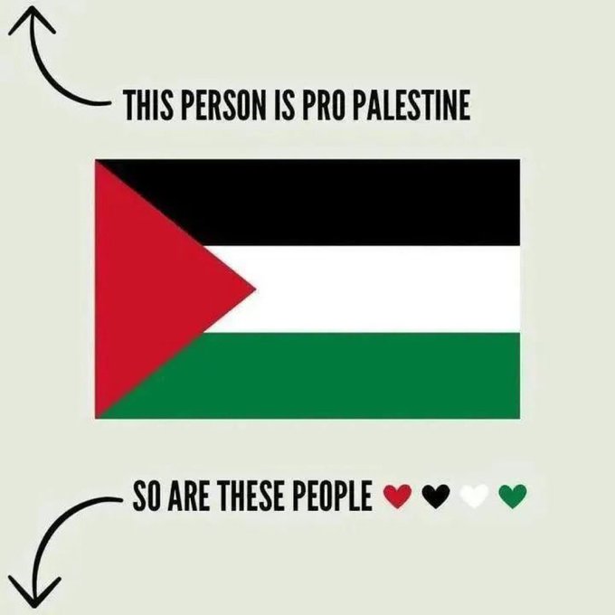 Abdullah_Om3r03's tweet photo. If you're, reply with it, 🇵🇸📷 https://t.co/uT2bWe9yKM