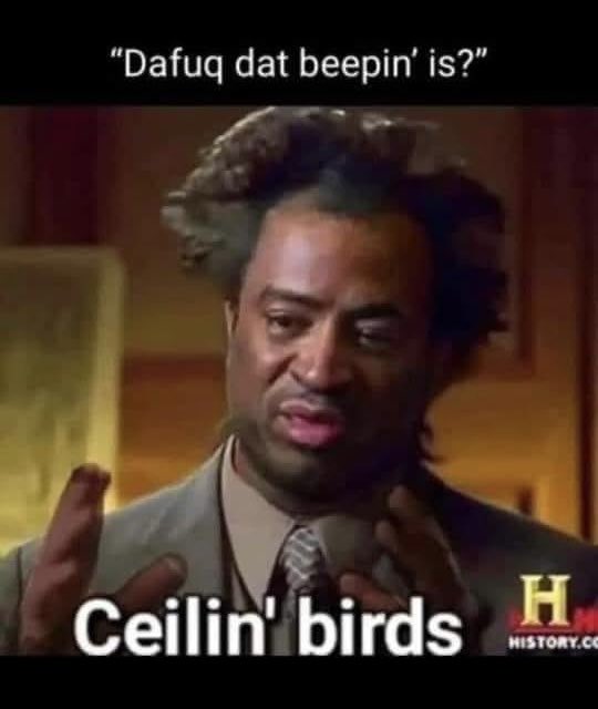 Bad Advice Dog (@badadvicedog) on Twitter photo 