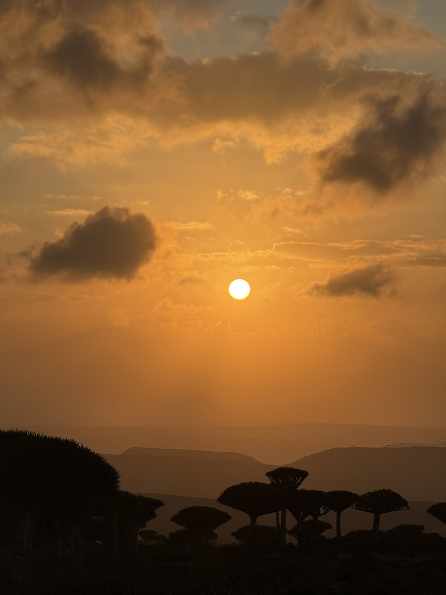 Elisabeth Oehler tweet media