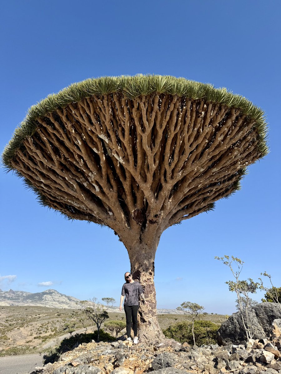 Elisabeth Oehler tweet media