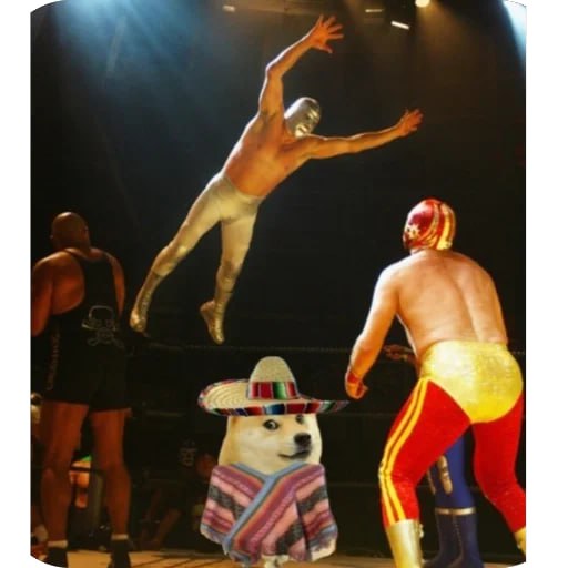 Lucha libre, me llamo $DONCHO Mysterio!

2000x boosts now⚡️⚡️⚡️⚡️
dexscreener.com/solana/fgvhzzx…