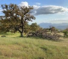 SanDiegoRiver's tweet photo. Great news - 2 amazing properties can be acquired! $2990 needs to be raised. Help save the South Rim donate at https://t.co/ZLPS2gB4ja https://t.co/H865G5JhE1