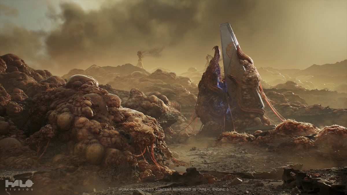 Halo tweet media