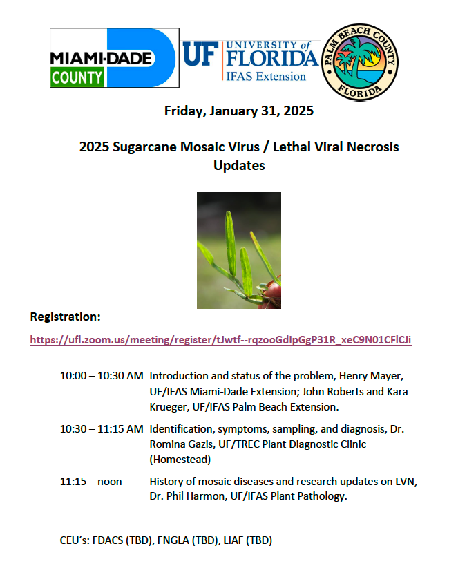 Don't miss this FREE webinar🧑‍🏫💻 on a lethal viral disease affecting the most common turf cultivar planted in residential lawns 🌱 in south #Florida (floratam). 

Details below.

2025 Sugarcane Mosaic Virus / Lethal Viral Necrosis Updates

Registration:
ufl.zoom.us/meeting/regist…