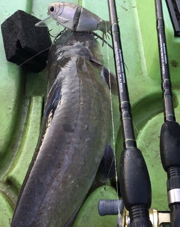 Look, here’s the deal… I’m not completely helpless and besides being an Eagle Scout,I can even catch a catfish!