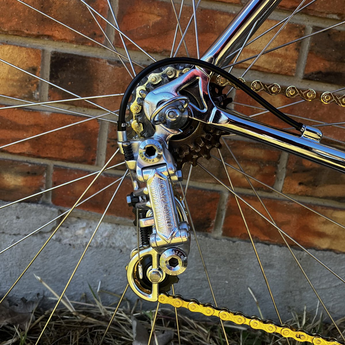 tonyleepr's tweet image. Bianchi L&apos;Eroica #bianchicafeandcycles #loveroadbikes #rideyourbike #cyclingpics #instacycling #celesteisbest #iridebianchi #bikestagram #cyclist #cyclinglifestyle #ciclismo #italiancycling #campagnolo #vintagebike #bianchioltre #bikeride #lapierrebikes #bicycle #bianchiaria