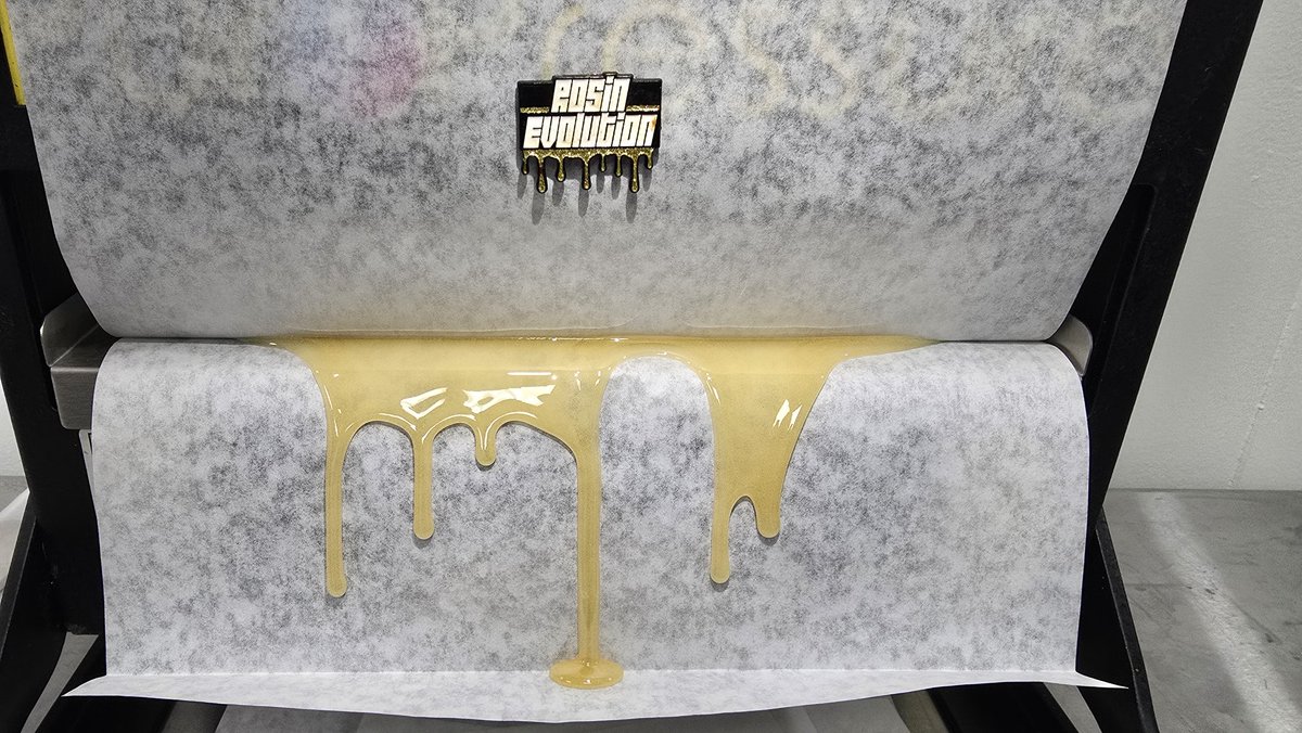 Wight Rabbit Extracts tweet media