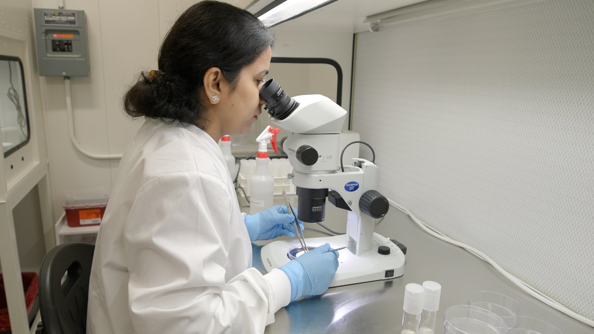 Arkansas Agricultural Experiment Station tweet media