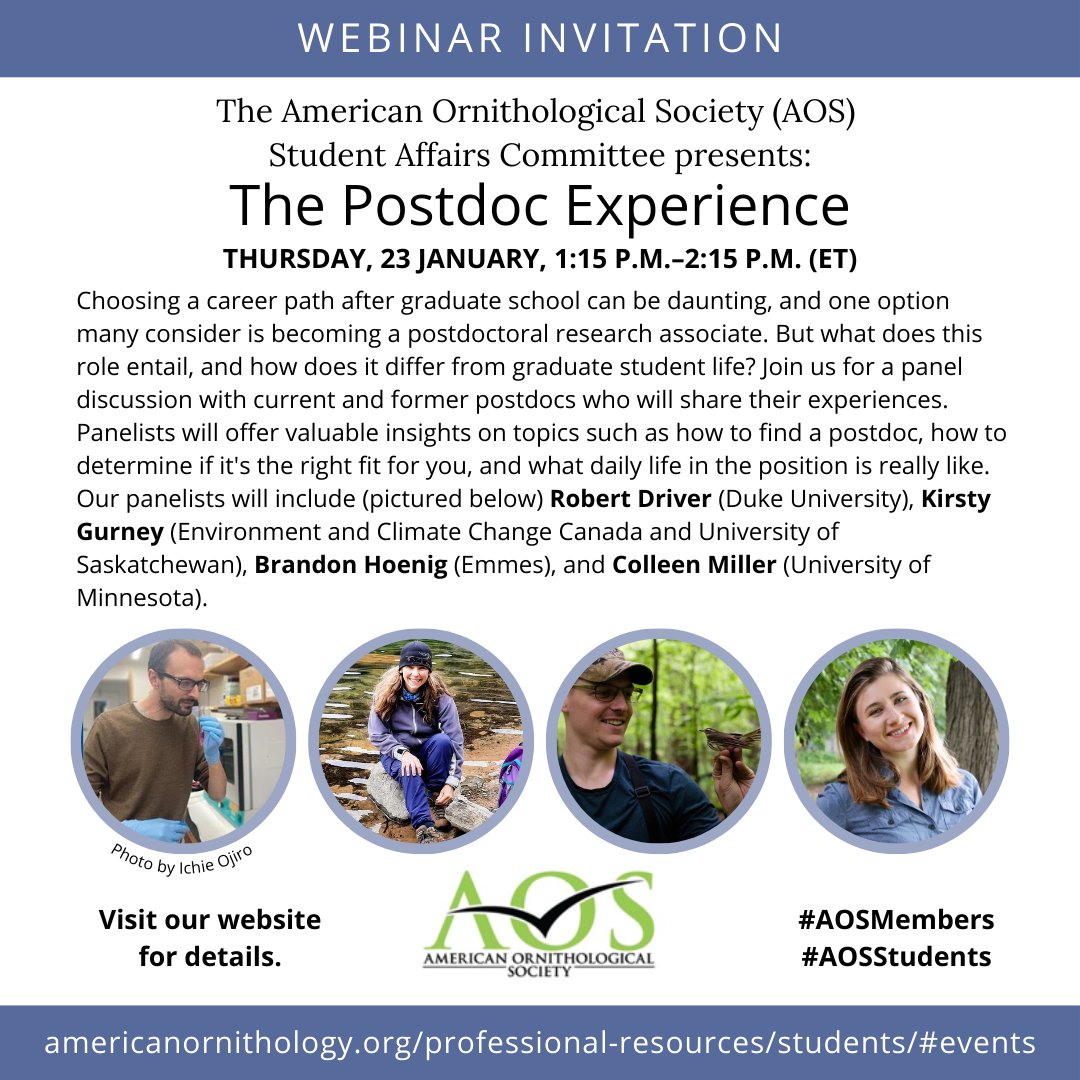 AmOrnith's tweet photo. WEBINAR: "The Postdoc Experience" for AOS student members, 1/23/25, 1:15pm (ET). Hear from a panel of current &amp; former postdocs about their experiences &amp; insights.
INFO: https://t.co/J2gytEEoJF
REGISTER: https://t.co/j8zgHSJbUo
#AOSStudents #SACwebinarseries #postdoc #AOSmembers https://t.co/GoDgL0CRyx