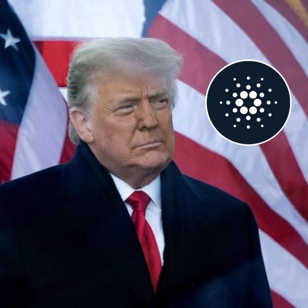 TapTools's tweet photo. RUMOR: Donald Trump to make $BTC $XRP, $ADA &amp; $HBAR tax free assets in the United States. https://t.co/LSN0JjGd89