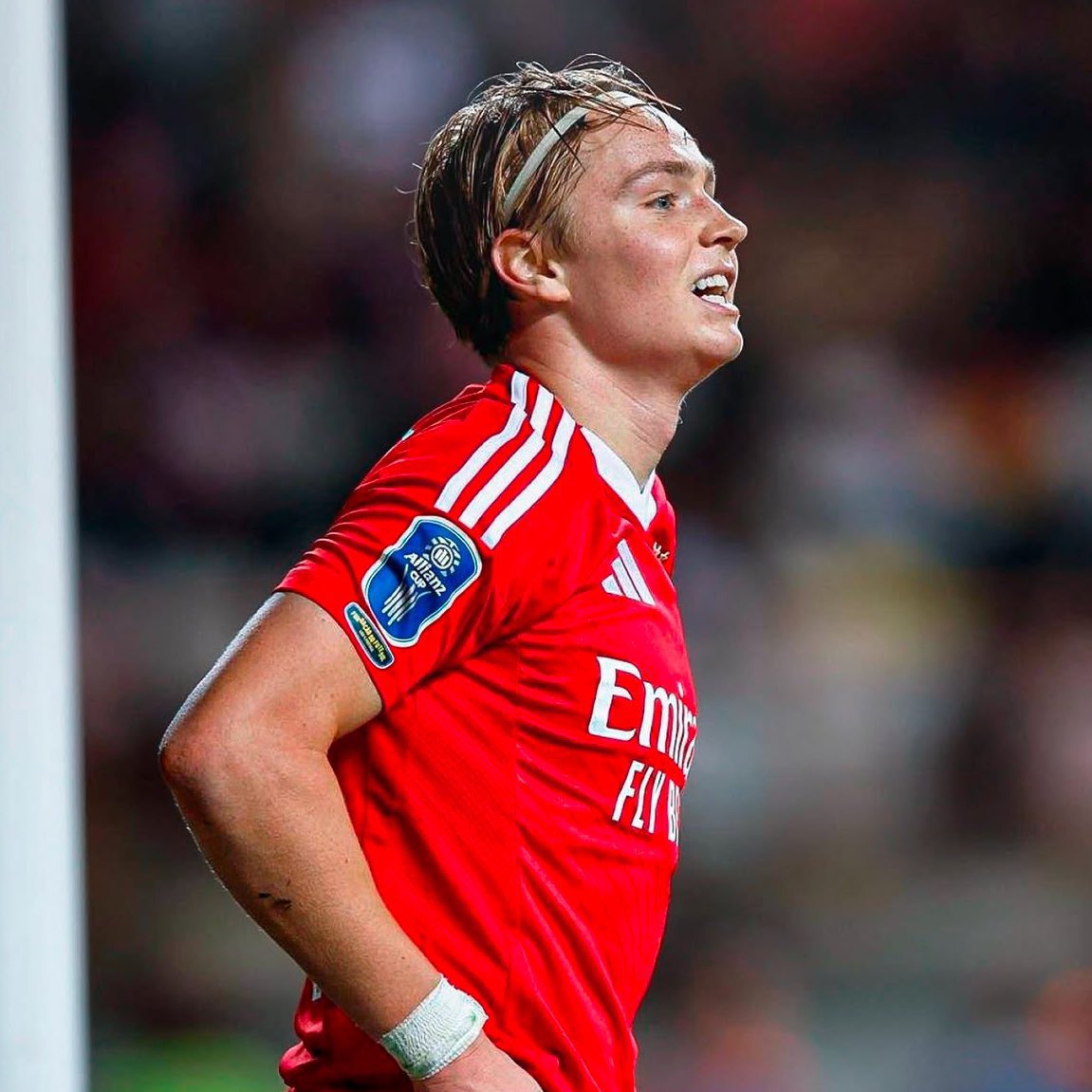 Impossível não amar este miúdo.

Joga tanto.