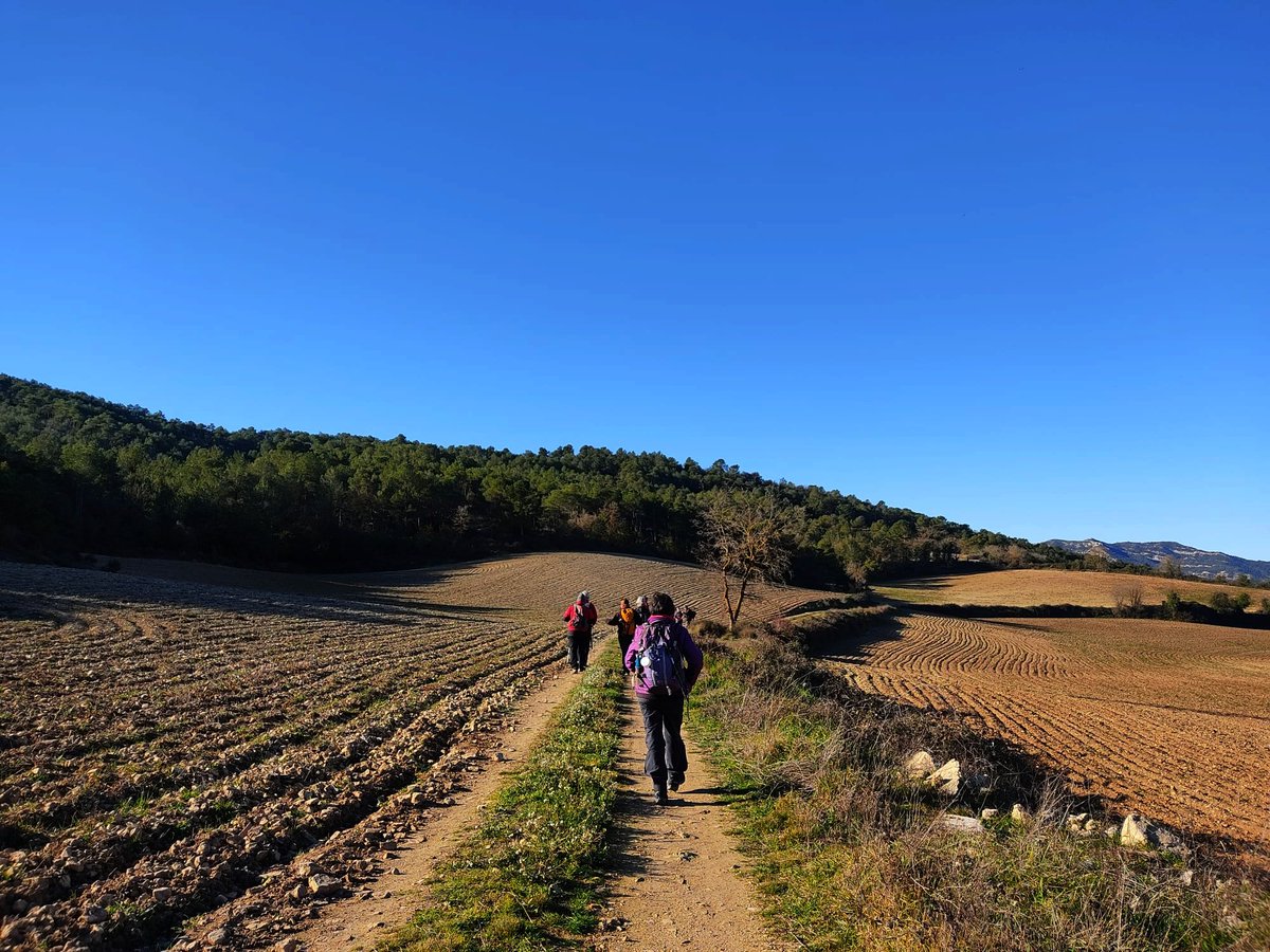 rdexcursionisme's tweet photo. Diumenge vam començar l'any caminant per #Pontils: de Sant Magí de Brufaganya cap al Cingle de les Coves, la Capella de les Fonts, #Viladeperdius i #Montalegre.
#AltGaià #TerresdelGaià

📸 F. Alarcón, J. Andreu, M. Chiapella, J. Verdiell

#sommuntanya
#ForçaReus
@ReusDeportiu https://t.co/pBEbezqzmt
