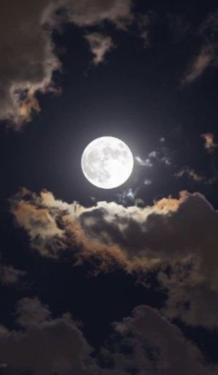 Everyone on Earth can see this moon, it's just a matter of time! Good night! <a href="/xai/">xAI</a> <a href="/elonmusk/">Elon Musk</a>