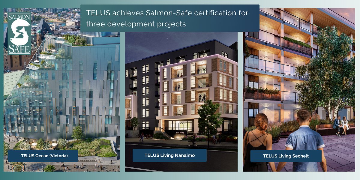 Exciting news! Three <a href="/TELUS/">TELUS</a>  development projects have been certified as Salmon-Safe – TELUS Living Nanaimo, TELUS Ocean (Victoria) and TELUS Living Sechelt. Congratulations on achieving Salmon-Safe certification and contributing to urban watershed health! bit.ly/telus-ssbc