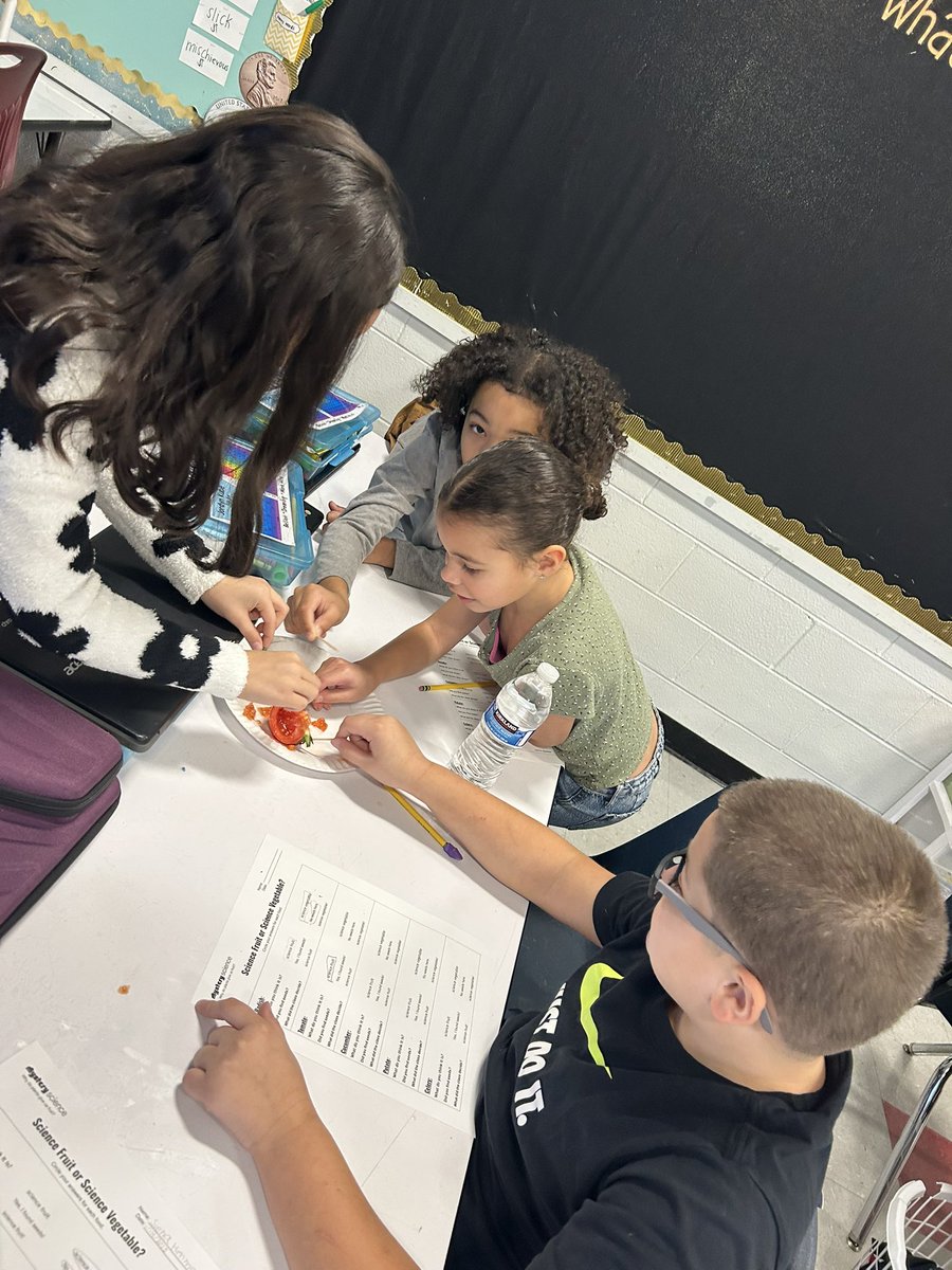 In science we investigated different foods to determine if they were a fruit or vegetable based on seeds! <a href="/MRSroadrunners/">Middle Road School</a> 🍅🥒🥔
