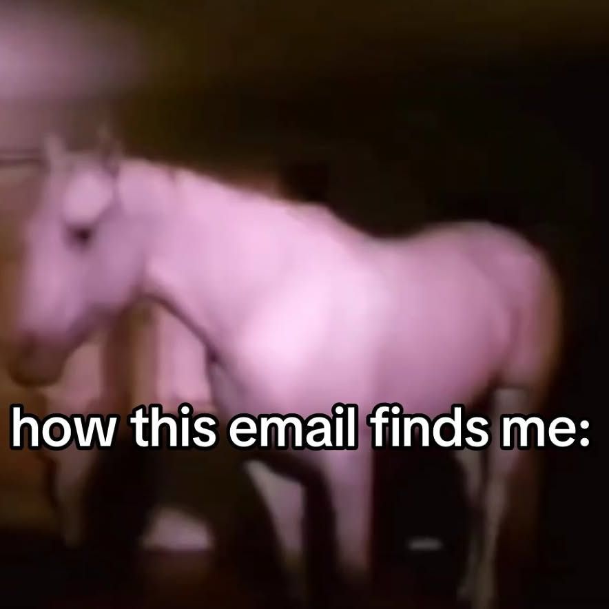 hourly_shitpost's tweet photo. https://t.co/K4IdTgBArI