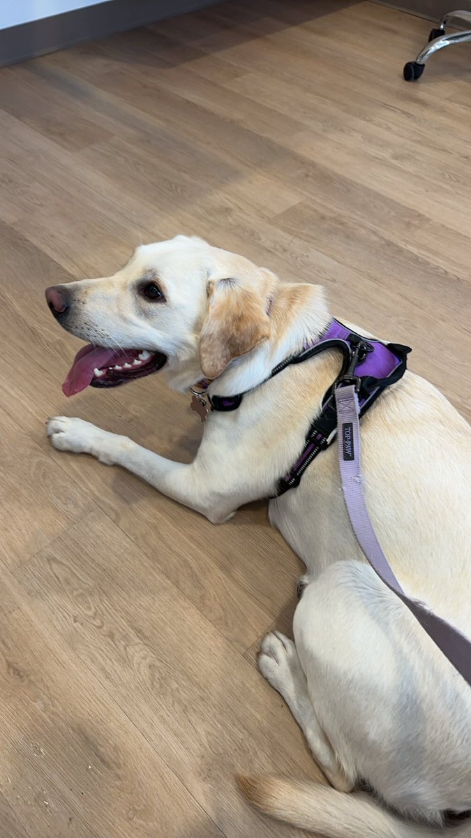 sysengineer tweet media