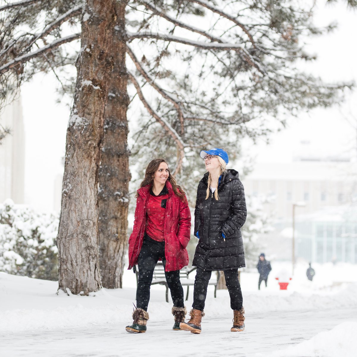 BYUalumni's tweet photo. Who have you connected with during your time at BYU?๐ฅ
"Are there ways that I can improve my connections with others?"- Sister Reese
President and Sister Reese taught the student body know that the connections that they make on campus are strong ones.๐ค
#BYUDevo #connectedforgood https://t.co/viWa2WYuk3