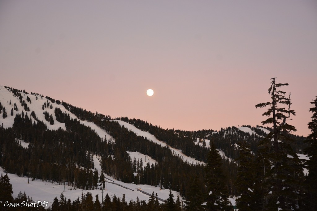 comox_valleybc's tweet image. Rising 🌕️

📷 @camshotsd91

#comoxvalley #vancouverisland #comoxbc