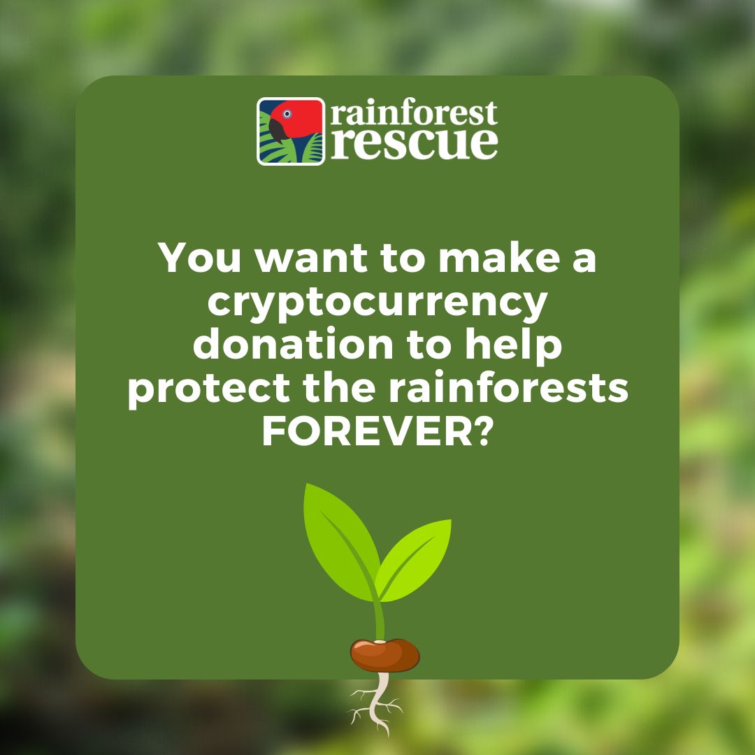 RFR_AU's tweet image. Your #CryptoDonation can help protect rainforests FOREVER 💚.

Help fund projects that focus on planting, maintenance, &amp;amp; restoration, as well as the purchase &amp;amp; protection of high conservation value rainforest: rainforestrescue.org.au/donate-crypto 🌳🌳.