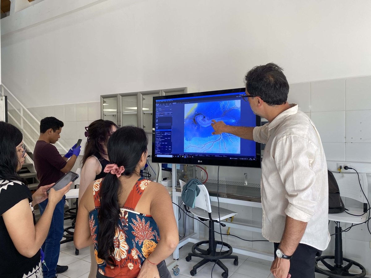 mayor_lab's tweet image. Thank you, Marcos Simões-Costa (@harvardstemcell) and Joao Botelho (@ucatolica), for leading the chick module at the @EMBO #DevBiol course in Quintay, Chile! From grafting beads to Light Sheet microscopy with @zeiss_micro, it was an inspiring journey of discovery!