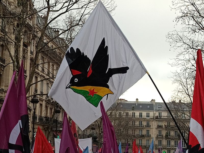 UCL 37 #FreePalestine #AutodefenseSanitaire tweet media