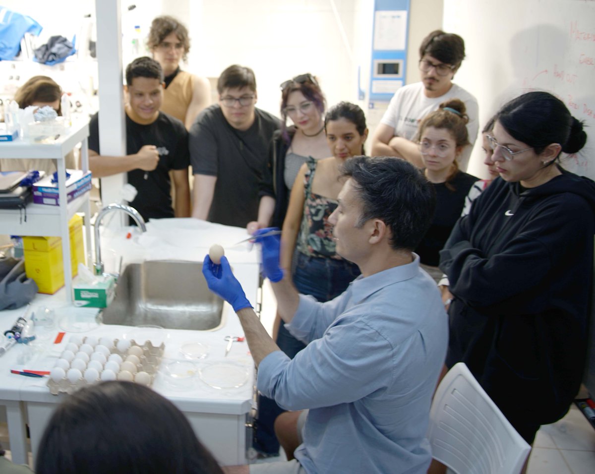 mayor_lab's tweet image. Thank you, Marcos Simões-Costa (@harvardstemcell) and Joao Botelho (@ucatolica), for leading the chick module at the @EMBO #DevBiol course in Quintay, Chile! From grafting beads to Light Sheet microscopy with @zeiss_micro, it was an inspiring journey of discovery!