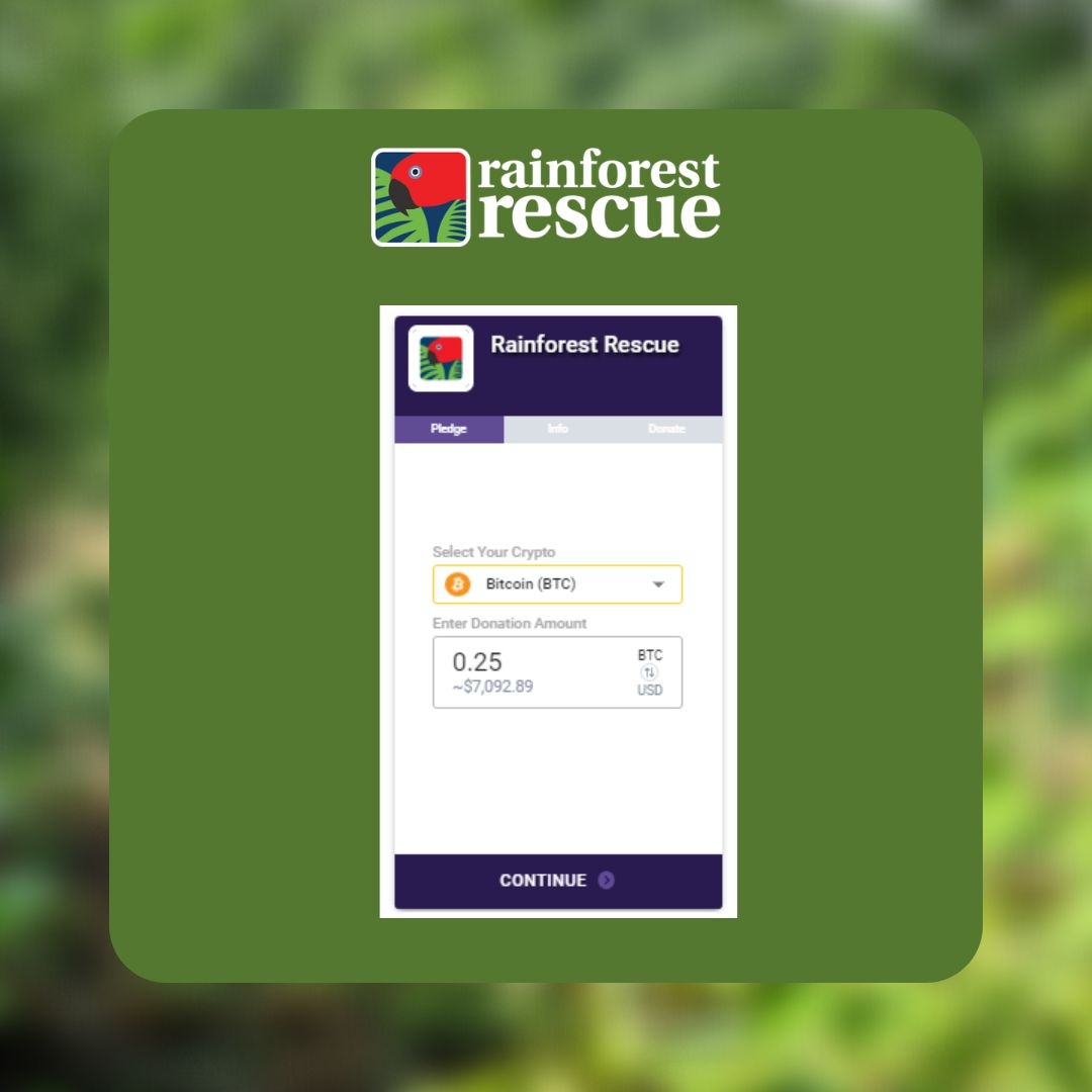 RFR_AU's tweet image. Your #CryptoDonation can help protect rainforests FOREVER 💚.

Help fund projects that focus on planting, maintenance, &amp;amp; restoration, as well as the purchase &amp;amp; protection of high conservation value rainforest: rainforestrescue.org.au/donate-crypto 🌳🌳.