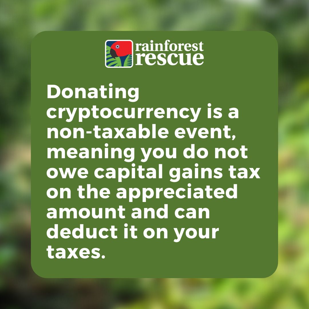 RFR_AU's tweet image. Your #CryptoDonation can help protect rainforests FOREVER 💚.

Help fund projects that focus on planting, maintenance, &amp;amp; restoration, as well as the purchase &amp;amp; protection of high conservation value rainforest: rainforestrescue.org.au/donate-crypto 🌳🌳.