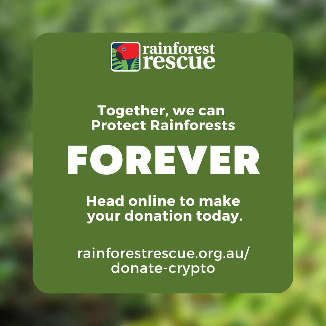 RFR_AU's tweet image. Your #CryptoDonation can help protect rainforests FOREVER 💚.

Help fund projects that focus on planting, maintenance, &amp;amp; restoration, as well as the purchase &amp;amp; protection of high conservation value rainforest: rainforestrescue.org.au/donate-crypto 🌳🌳.