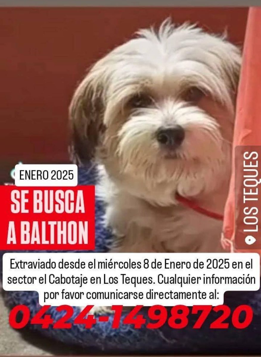 Su familia sigue buscando a Balthon,  Los Teques