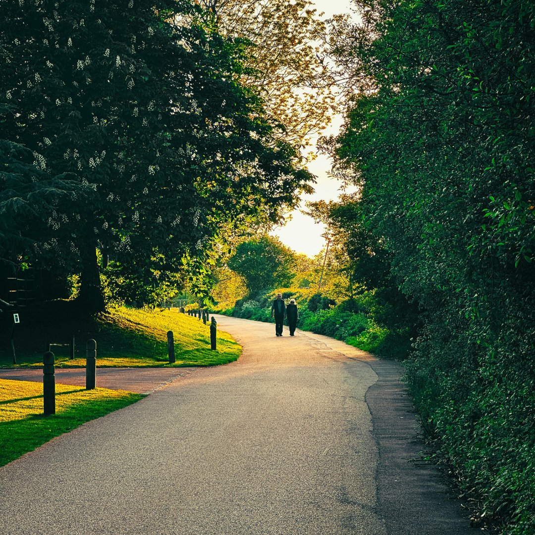 KeyAtYaleTowne's tweet photo. Discover tranquility just outside your home at The Key at Yale and Towne and embrace the moment with a peaceful stroll. 🌳 Where do you typically like to go to immerse yourself in nature? https://t.co/ouKmrZGftI