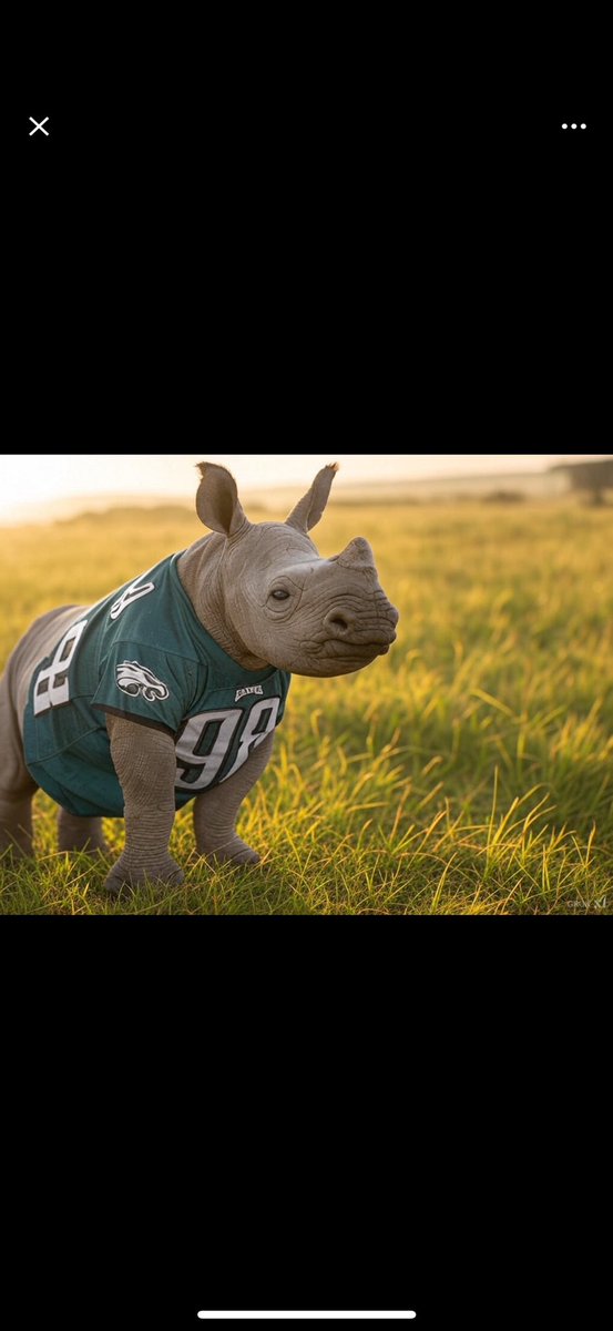 fusswendel's tweet photo. @TheHonestNFL https://t.co/iLD1Z8HUc6