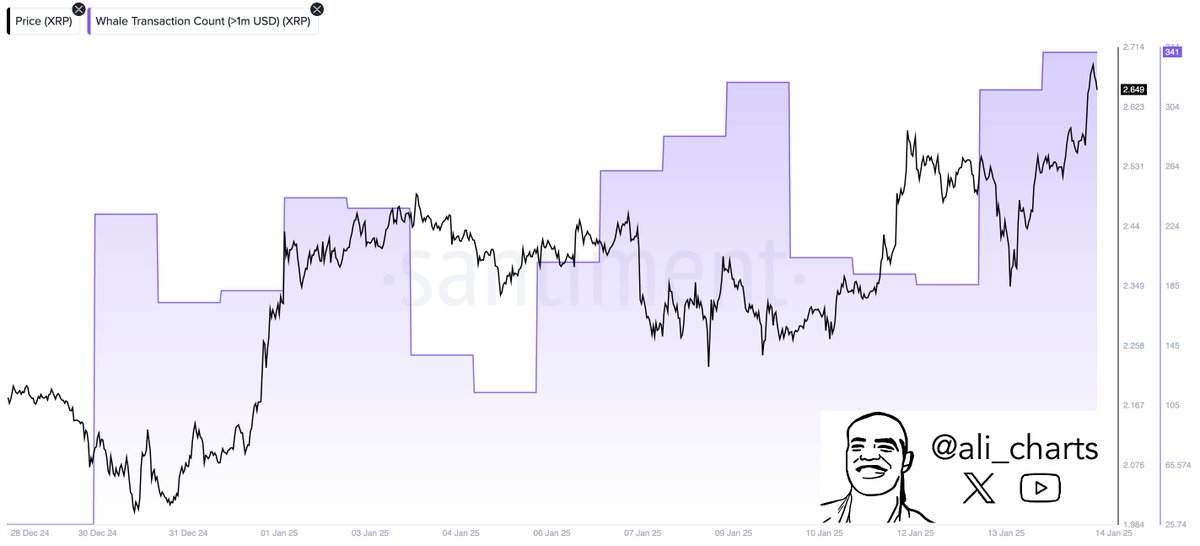 XRP Whale Transactions