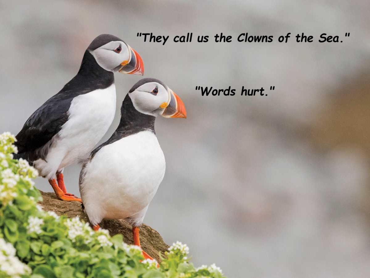 WagsRJ's tweet photo. #WritingCommunity https://t.co/Lb7azczDR3