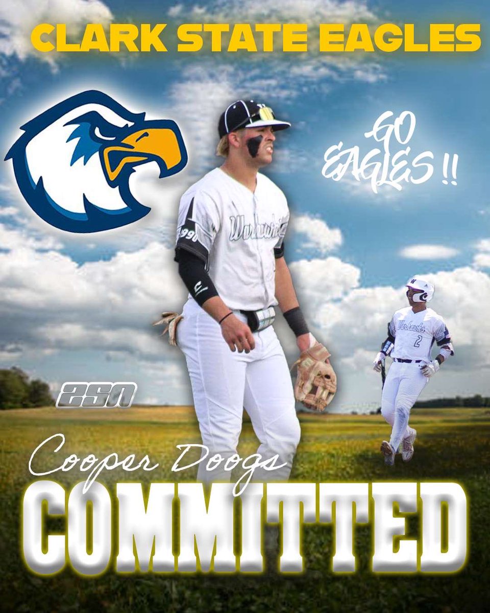 Cooper Doogs tweet media