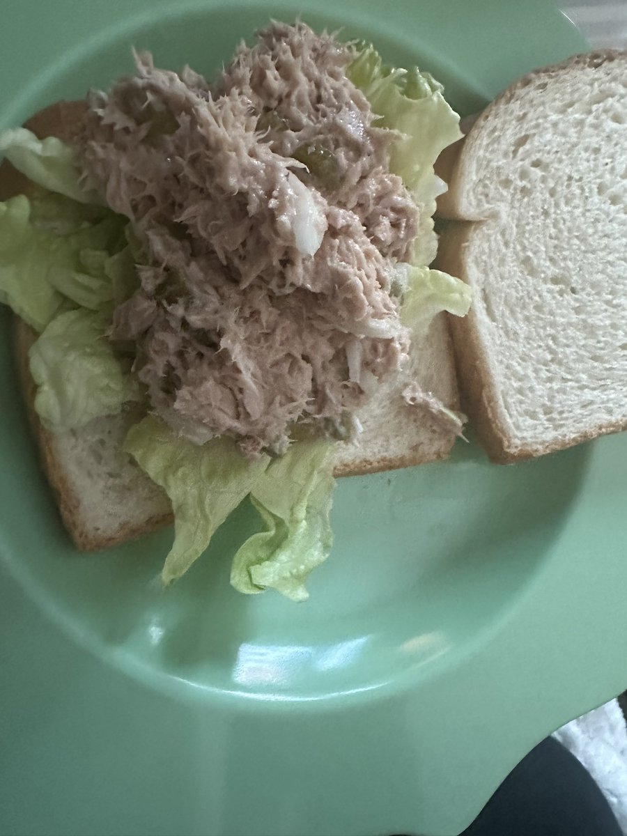 tami282's tweet photo. Blt 🥪 yesterday tuna today #lightdinner https://t.co/nt2I3j2LQI