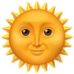I just took a picture of the sun