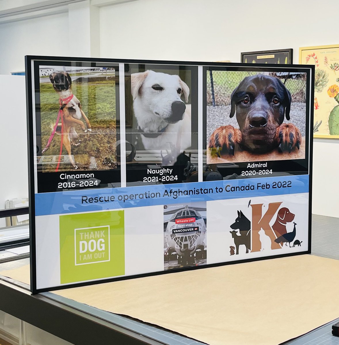 From all of us <a href="/thankdogiamout/">Thank Dog I Am Out Dog Rescue Society</a>  - 2024 was a year of challenge , loss and then new life … a new chapter starts as another one ends as we say  #farewell to “Cinnamon , Naughty and Admiral”, all gone in a blink. 
Thankful to be able to celebrate these lives lost with a memorial