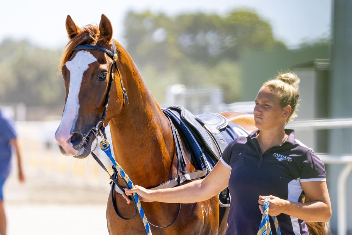 Easthope Racing tweet media