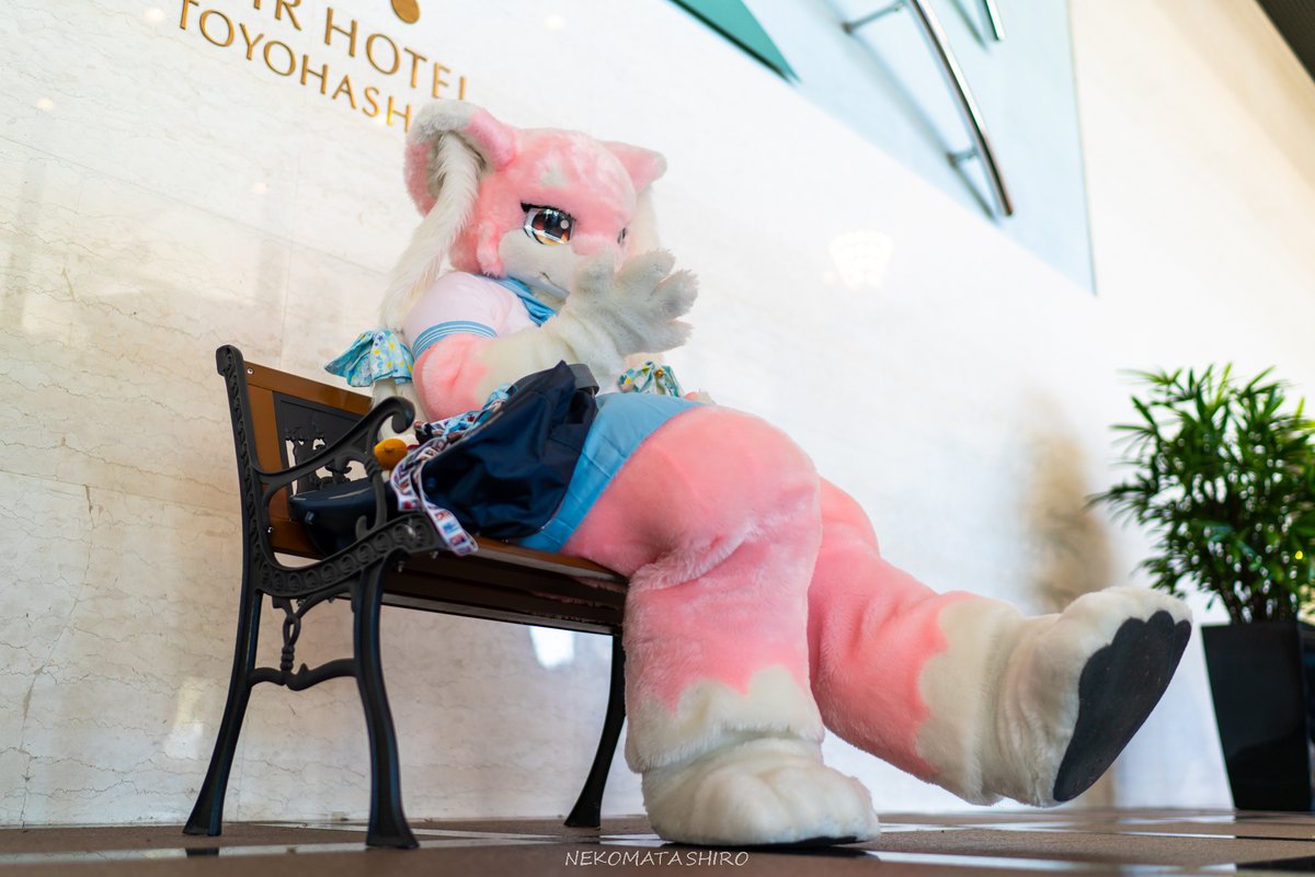 待ち合わせしててかわいい☺
#JMoF2025
<a href="/freon_ribbon/">⋈*.フロン⋈*.</a>