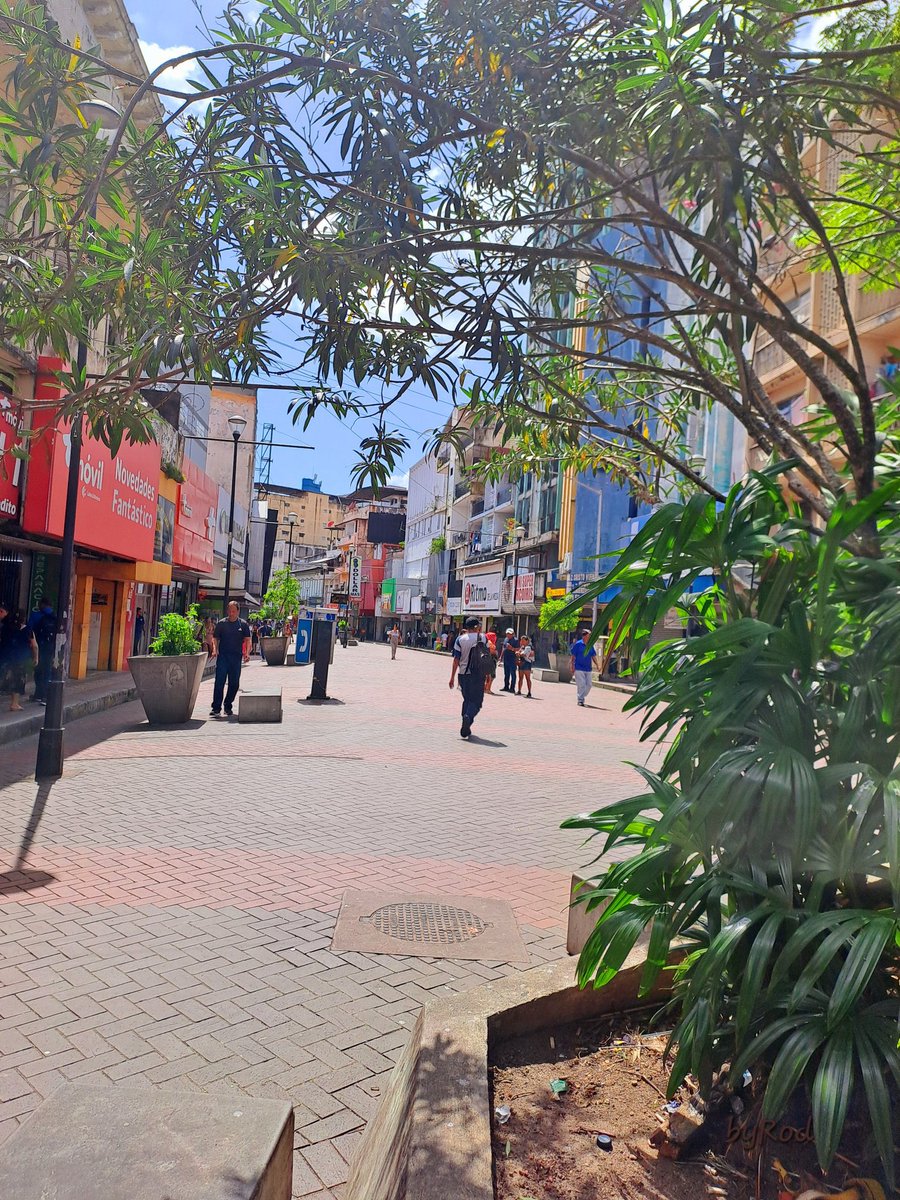 Que les impidió a los alcaldes que antecedieron a <a href="/Mayer/">Mayer Mizrachi</a> , hacer lo correcto en la avenida central peatonal.  La acción por el momento arroja Cero impacto negativo y se vislumbra un rotundo éxito en esta intervención a futuro.  Cómo santanero y de la metrópolis estoy muy feliz 🇵🇦