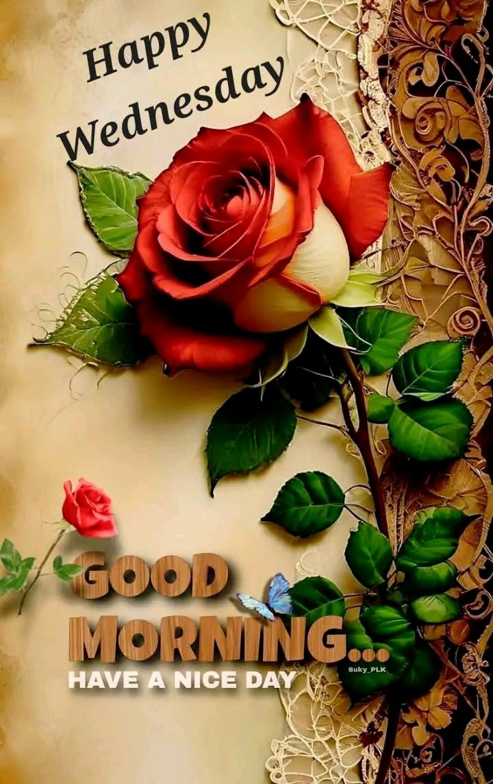 Ayshakhan_007's tweet photo. "The sun is shining, a new day is calling. Seize it with enthusiasm. Goodmorning 💐🌹

#goodmorningworld
#goodmorningeveryone
#goodmorningmylove
#goodmorninghubby
#goodmorningkids
#goodmornongpost
#goodmorningimage
#goodmorningtoall
#goodmorningquotes 
#goodmorningquotesoftheday https://t.co/N2rn02R2pB