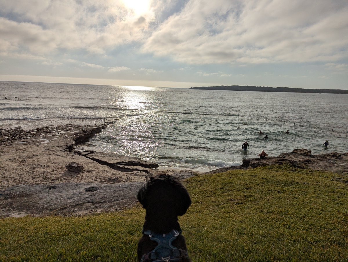 Patrick Spicer tweet media