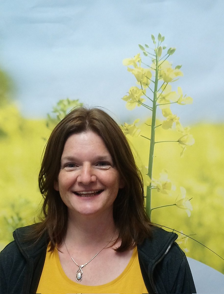 Sam Cook tweet media