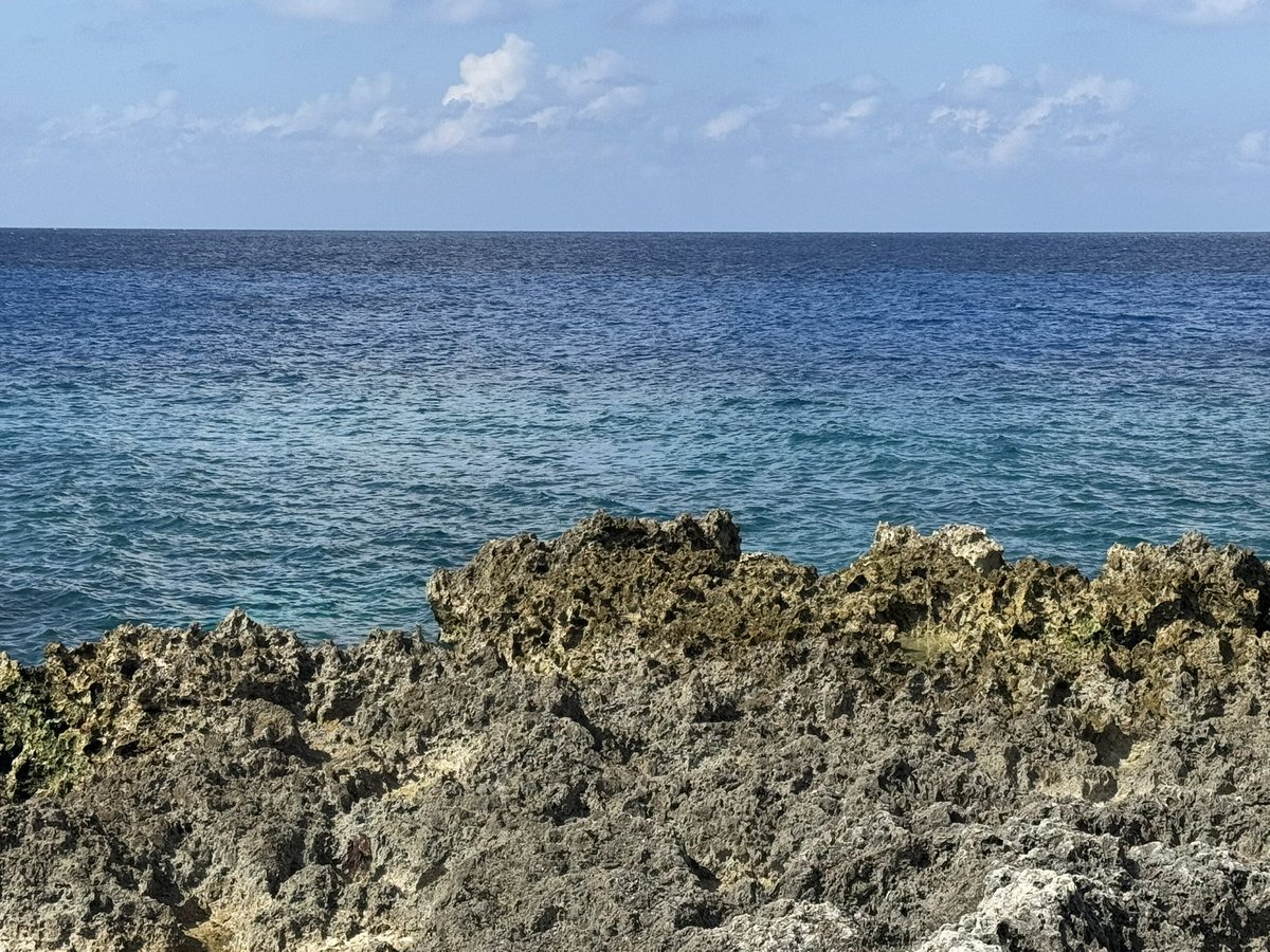 Anne-Sophie tweet media