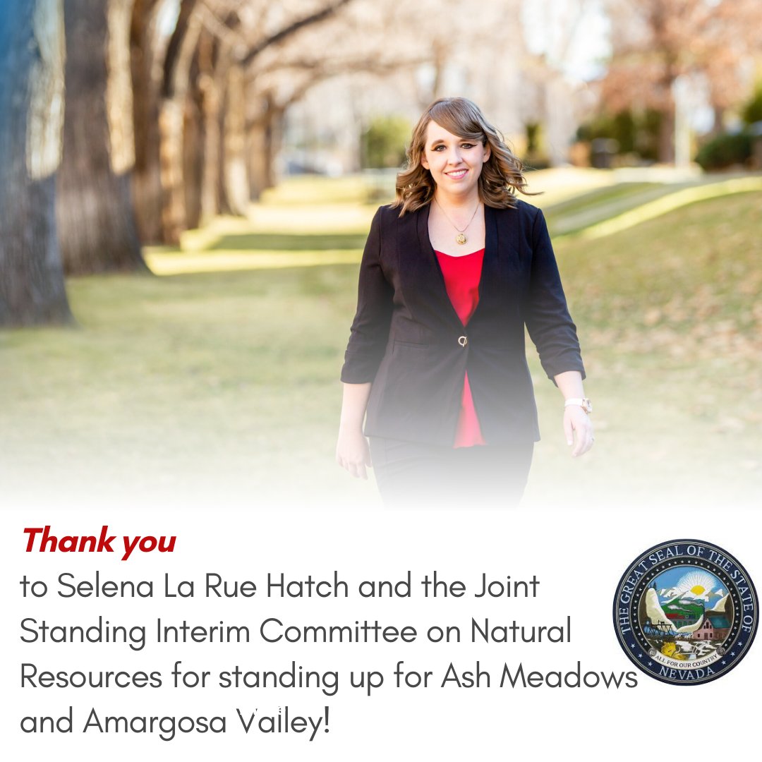 Thank you to Selena La Rue Hatch and the bipartisan Joint Standing Interim Committee on Natural Resources of Nevada for your leadership in the push for a mineral withdrawal for Ash Meadows and the Amargosa Valley!

Read the committee's support letter here: leg.state.nv.us/App/InterimCom…
